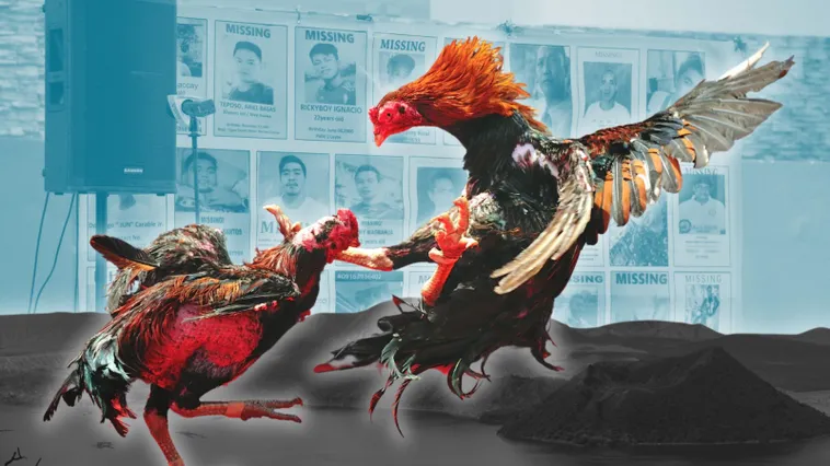 Hướng Dẫn Chi Tiết Cách Chơi Đá Gà Sabong Tại B52Club 2026