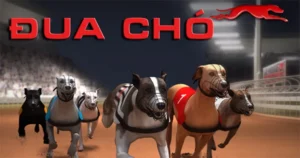 Cách Chơi Game Nhanh Đua Chó Tại B52Club Dành Cho Người Mới Hiểu Sâu